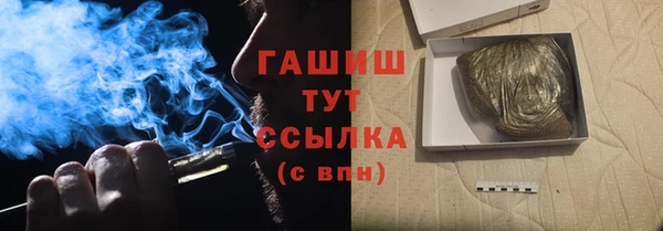 гидра Краснослободск