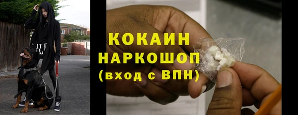 гидра Краснослободск