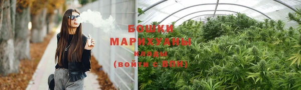 прущие грибы Арсеньев