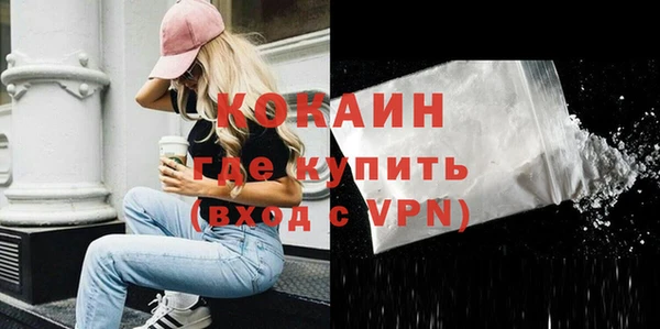 гидра Краснослободск