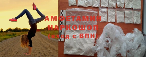 гидра Краснослободск