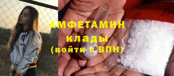 сатива Аркадак