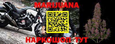 крисы Берёзовский