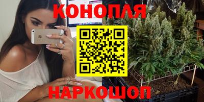 дживик Кандалакша