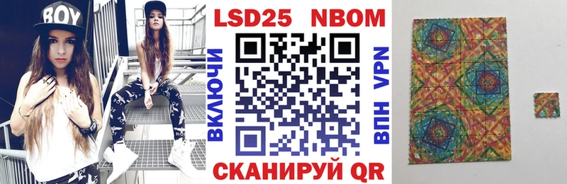 где купить наркоту  Шали  МЕГА зеркало  Наркотические марки 1,8мг 