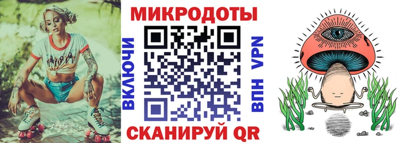 где купить наркоту  Шали  Галлюциногенные грибы Psilocybe 