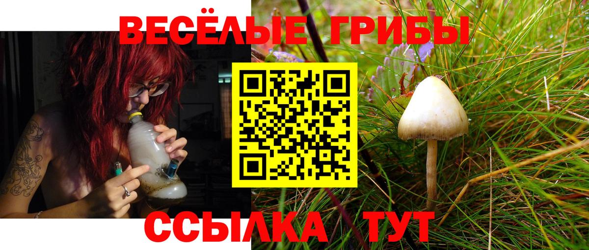 Псилоцибиновые грибы ЛСД Шали